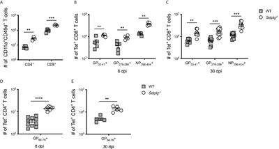 PSGL-1 Is a T Cell Intrinsic Inhibitor That Regulates Effector and Memory Differentiation and Responses During Viral Infection